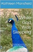 While God Was Sleeping